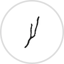 Crooked Lake Ice Cream