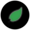 Curry Leaf Harleysville