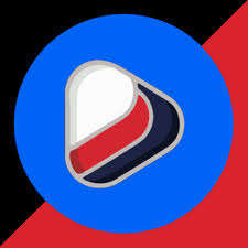 Czech Volleyball Association