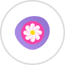 Daisy Communications