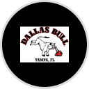 Dallas Bull
