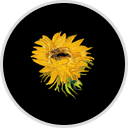 Dallas Van Gogh logo