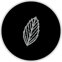 Davids Natural Toothpaste