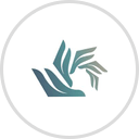 DBT Hold On Membership Fee