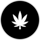 Delta Dispensary