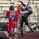 Diamond Sports Group