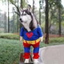 Dorneyville Pharmacy