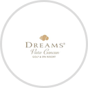 Dreams And Visions New Hampshire logo