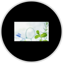 Dr. Phillips Dental Spa