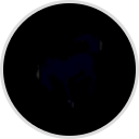 Durango Coffee Company