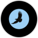 Eagle Sewer and Drain