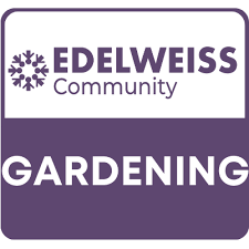 Edelweiss Holdings