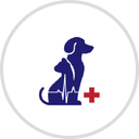 Edgewater Animal Hospital