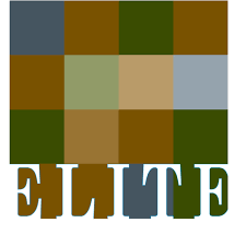 Elite Tile Services Inc.