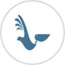 Elizabeth River Project