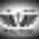 El Paso Winging House