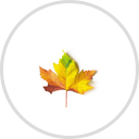 Emblom-Brenny Funeral Service