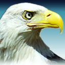 Enid News & Eagle logo