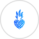 Essentials of Clearwater