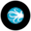 Camp Widow® Registration