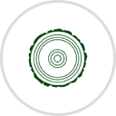 Evergreen Curling Club