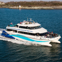 Fast Ferry