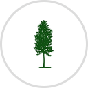 Flat Creek Marina & RV