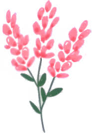 Budget Planner App - Fleur