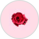 Flores Market ATX logo