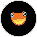 Flying Frog Car Wash