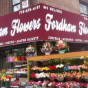 Fordham Flowers