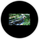 Forest Houses Resort