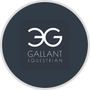 Gallant Equestrian
