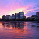 Ville de Gatineau - Taxes