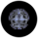 Georgia Chiropractic Association logo