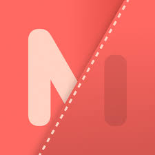 MonAi - AI Money Manager