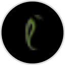 Ginger Garden Amherst