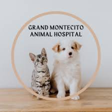 Grand Montecito Veterinary