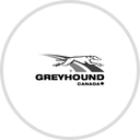 greyhound