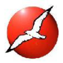 Gulf Wind Track Club