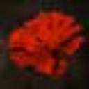 Hadestown Store newsletter