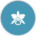 medical, dental, and vision benefits