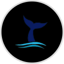 Harv and Marv's Alaska Whale Watching