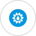 Healing Springs Wellness