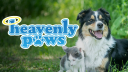 Heavenly Paws MI