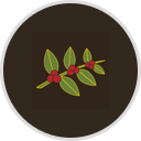 Heine Brothers' Coffee