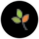 Henrietta Pediatrics