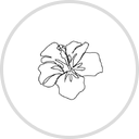 Hico Hawaiian Coffee