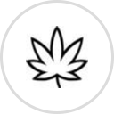 Higher Life CBD Dispensary