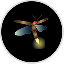 Homegrown National Park